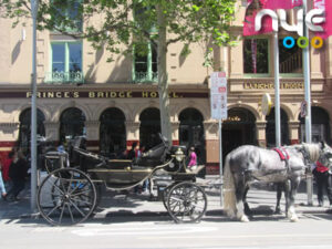 Horse buggy around town on NYE