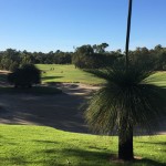 The Vines Resort Golf Course
