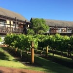 The Vines Resort Vineyard
