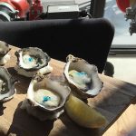 Sagra restaurant oysters